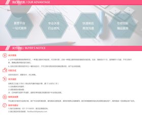 企業網站制作與開發 打造高效品牌形象的三種關鍵路徑